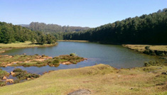 Coimbatore - Ooty - Wayanad - Coorg - Coimbatore
